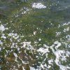 Marsala_2012 (225)